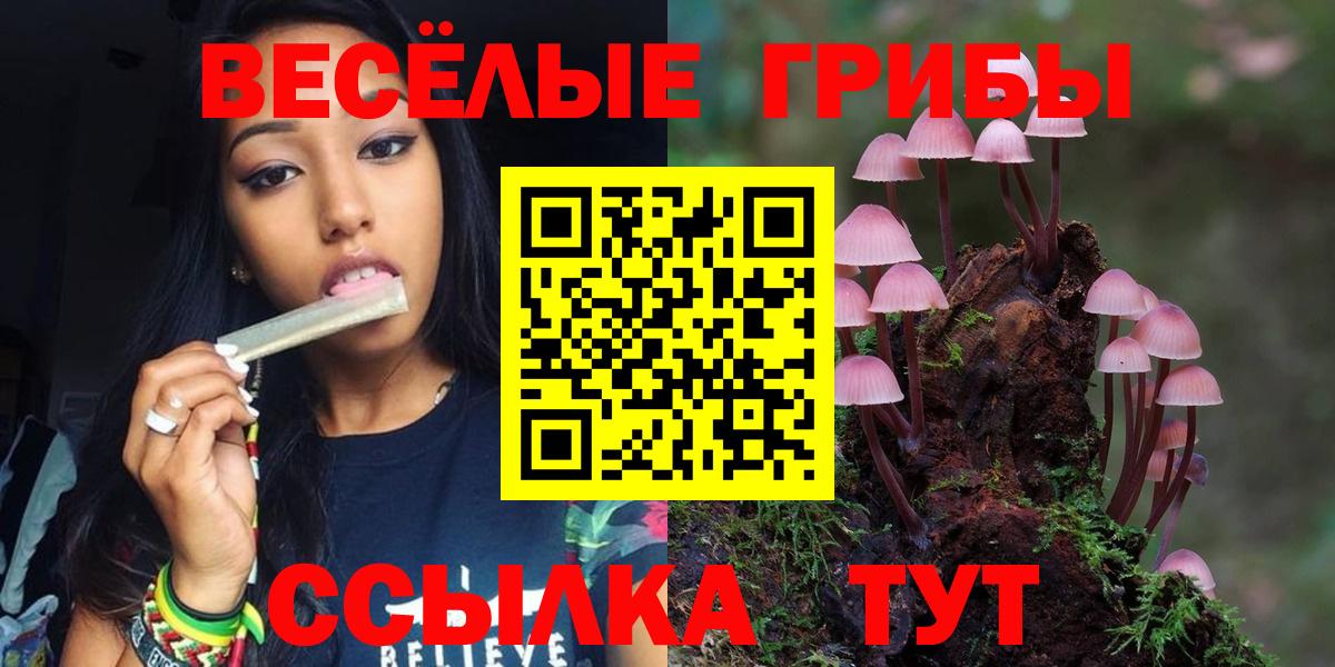 Галлюциногенные грибы мухоморы  Галлюциногенные грибы Magic Shrooms  купить наркоту  Волоколамск  Вход с VPN 